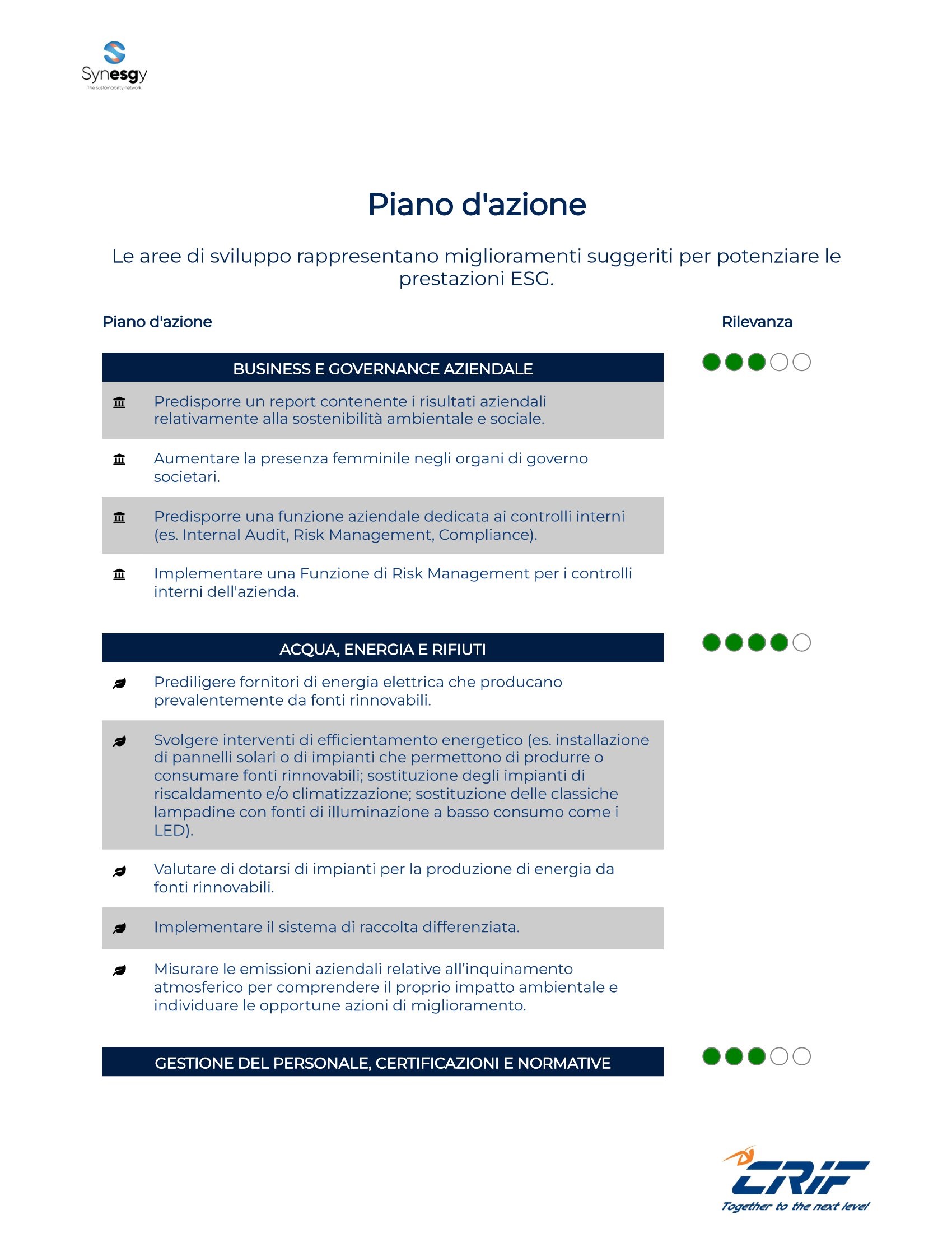 IT Action Plan Sample
