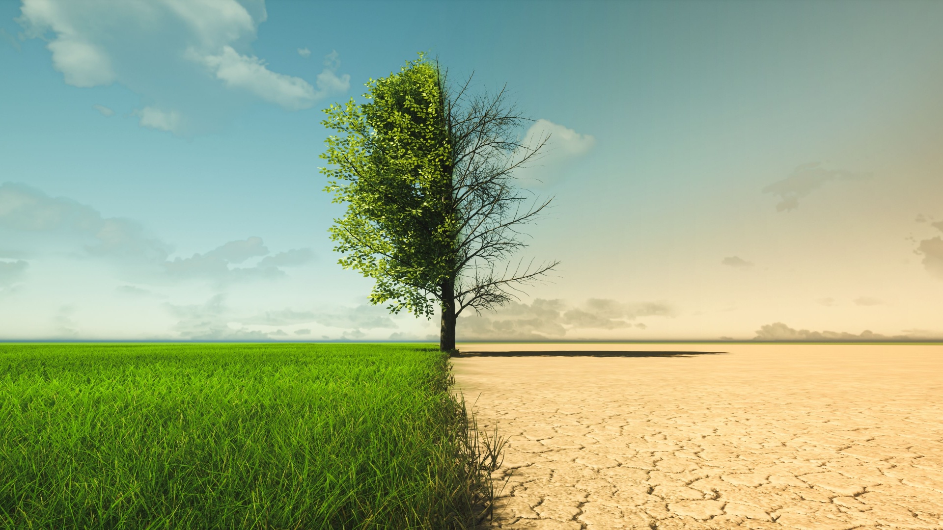 Climate Change Adaptation Strategy A Challenge For Business And For ESG